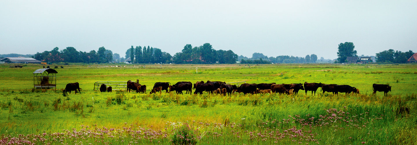 Bestel natuurlijk vlees