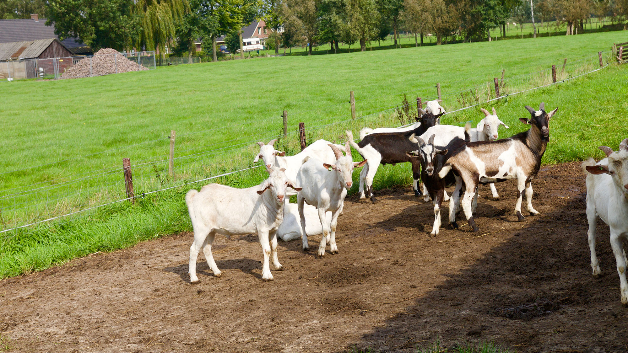 Koopeengeit.nl is nu |