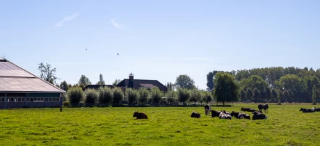 Het kan, goed vlees verkopen en de natuur herstellen