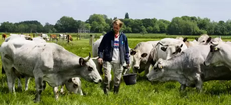 Grasgevoerd vlees, het is de hype waard