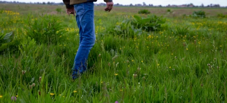 Dag van Dieren en Planten in het Wild
