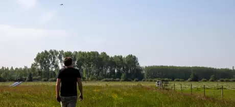 Opnieuw meer weidevogels bij onze boer Sander