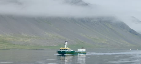 Arnarlax