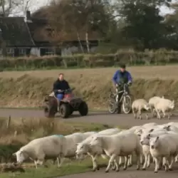 IJsbrand Kikkert