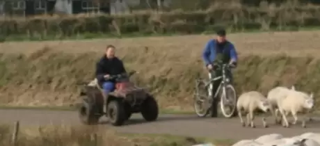 IJsbrand Kikkert
