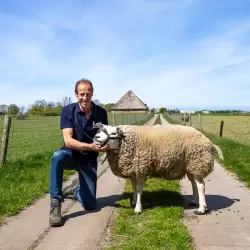 Koos Tjepkema