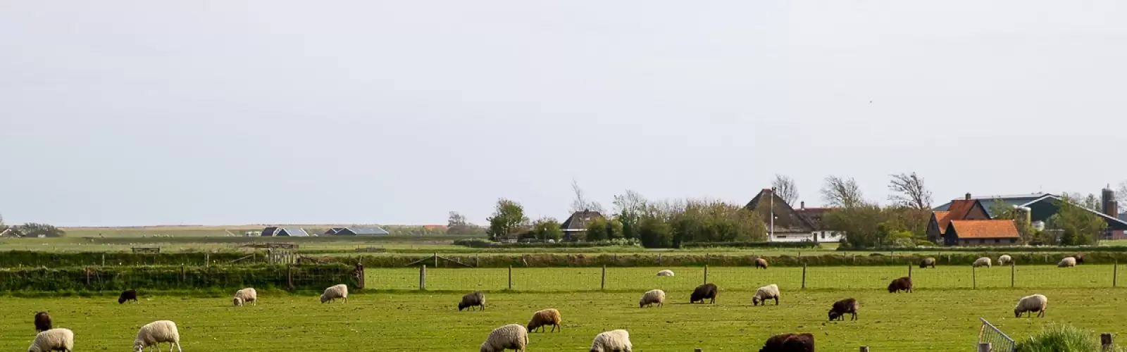Lennard & Mariska Witte