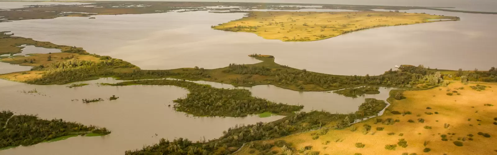 Oostvaardersplassen