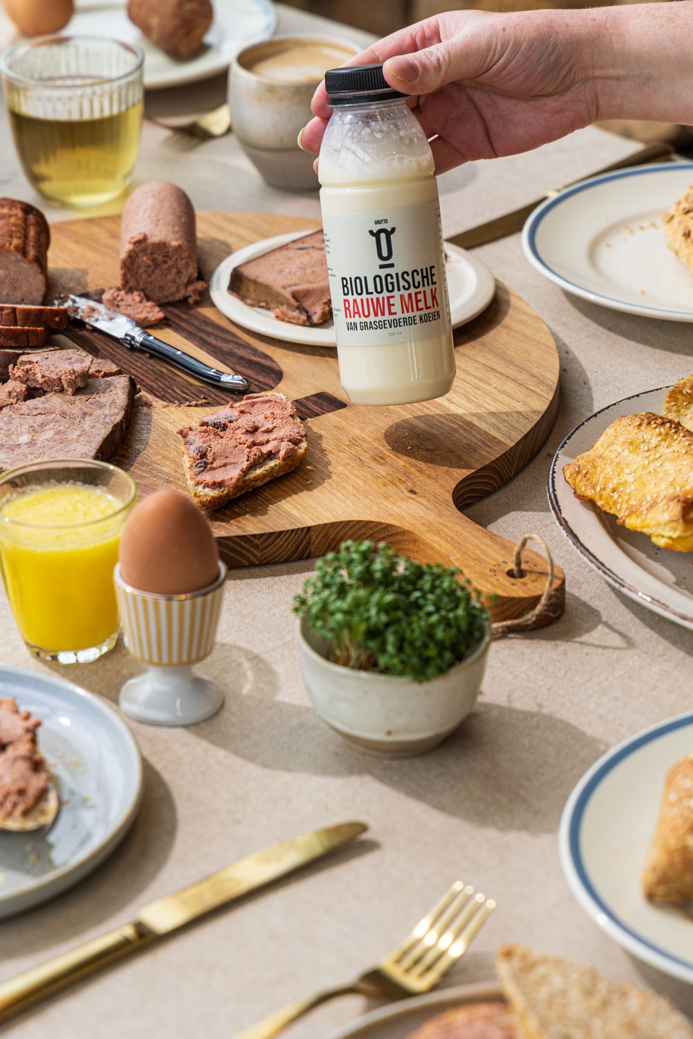 cow image 2 cow image 2