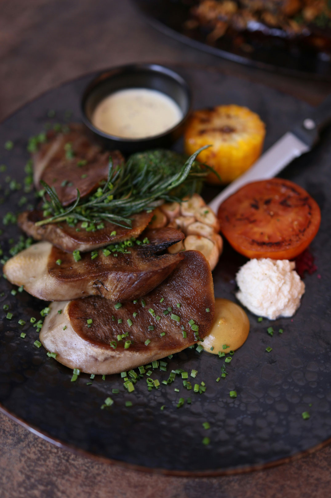 cow image 1 cow image 1