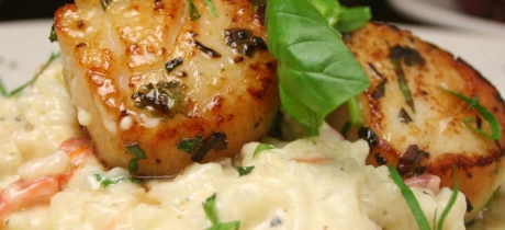 Citroenrisotto met Mascarpone en Coquilles