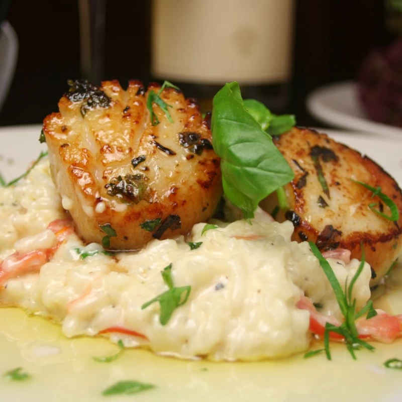 Citroenrisotto met Mascarpone en Coquilles