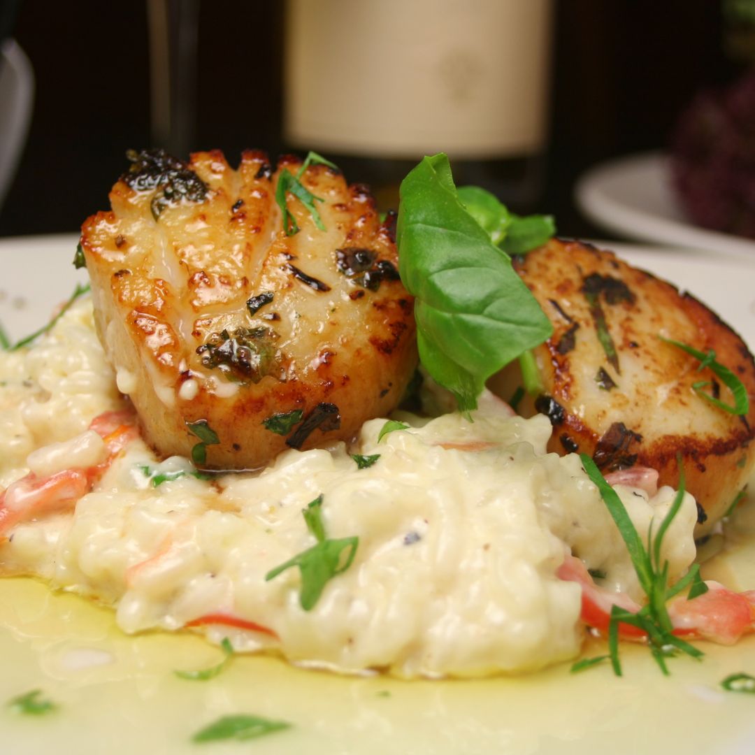 Citroenrisotto met Mascarpone en Coquilles
