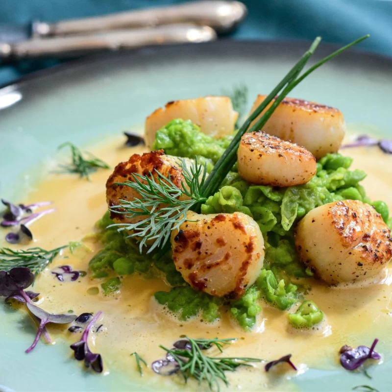 Coquilles met avocadocrème, zeekraal en baconbites