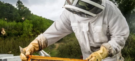 Grutto x Bijenbaas – samen zorgen we voor natuur die bruist van leven