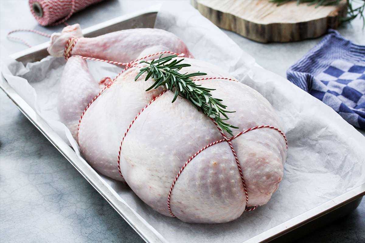 chicken image 2 chicken image 2