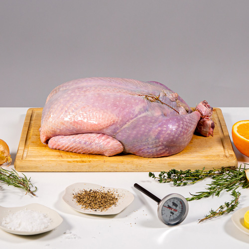 chicken image 5 chicken image 5